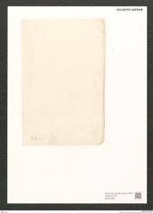 Diatomeae indet. Zeichnungen Sammlung Grunow (NHMW-BOT-W0370786)